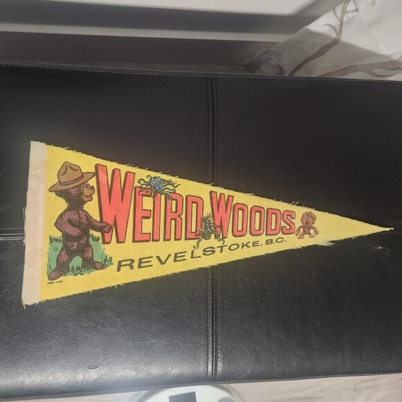 1970s Weird Woods Revelstoke BC Canada Felt Pennant – Vintage Souvenir - Picture 3 of 3
